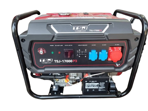 موتور برق 10 کیلووات TSJ 17000 P3